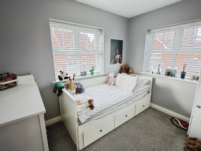 Picture 15